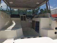 1986 Bayline Hardtop Trophy