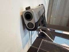 Sig Sauer P365 Pistol