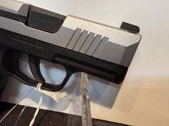 Sig Sauer P365 Pistol