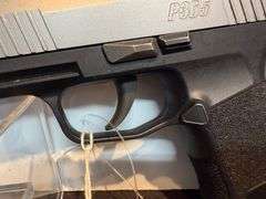Sig Sauer P365 Pistol