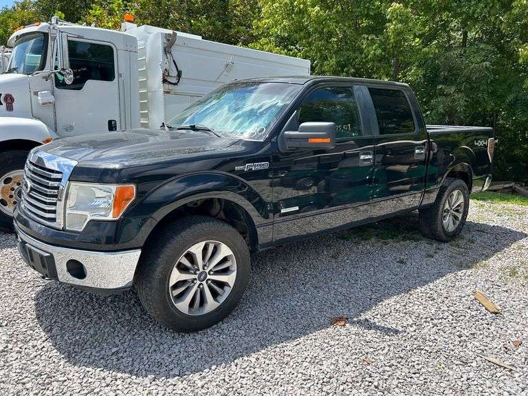 2012 Ford F-150 XLT 4WD image