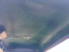 1953 Willys Jeep Pickup Truck