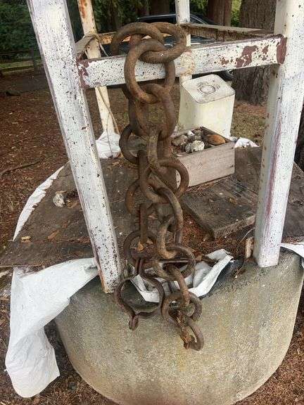 Chain With Shackle image