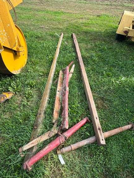 (4) Horse Trees + Tongues image