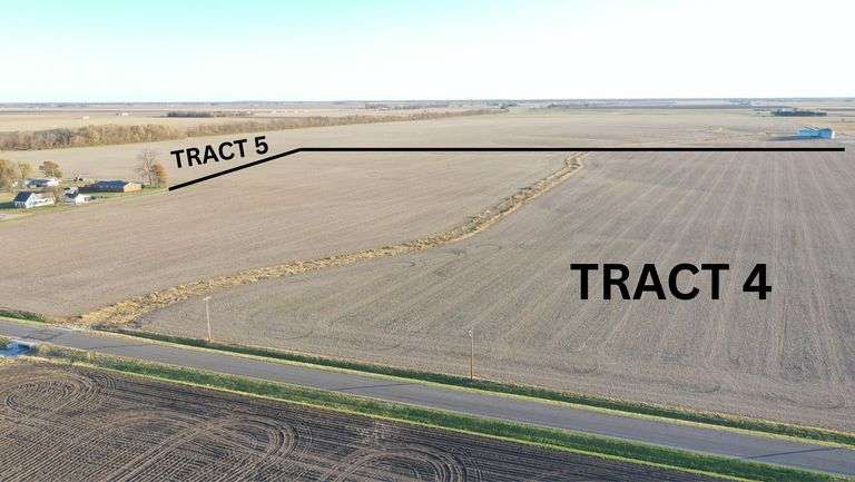 81.67 Acres +/- image