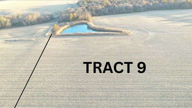 66.78 Acres +/- image