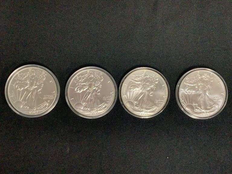 American Eagle $1.00 image