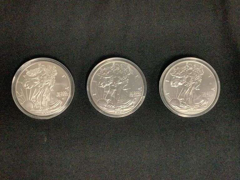 American Eagle $1.00 image