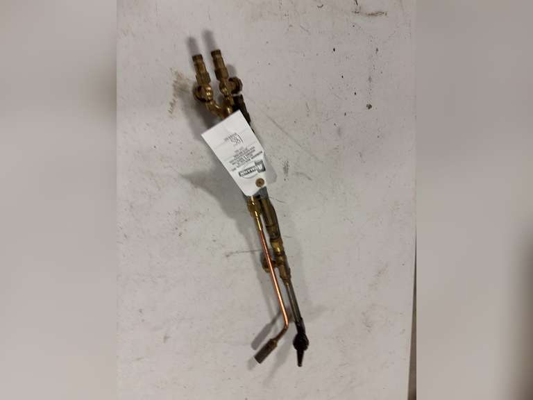 Torch head and Rosebud image