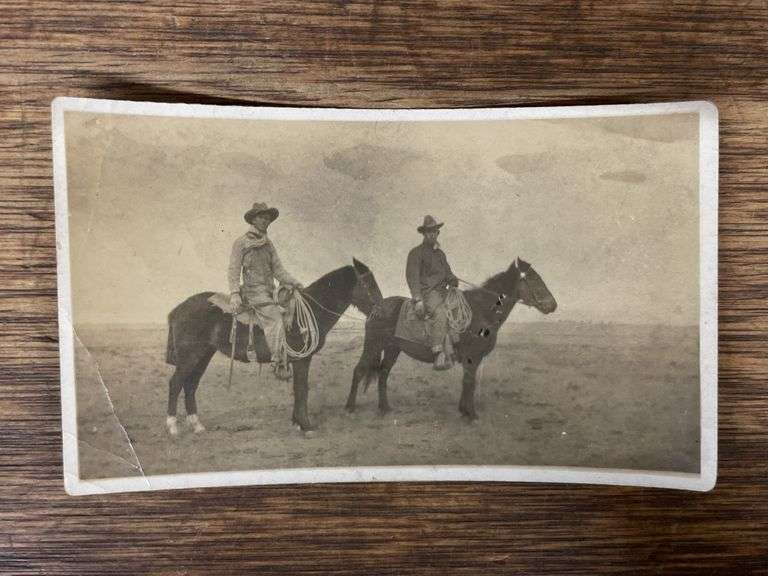 (4) Horse Photos