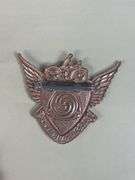 (2) Motorcycle Pins