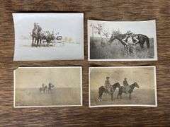 (4) Horse Photos
