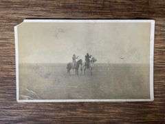 (4) Horse Photos