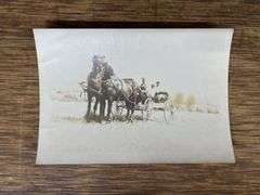 (4) Horse Photos