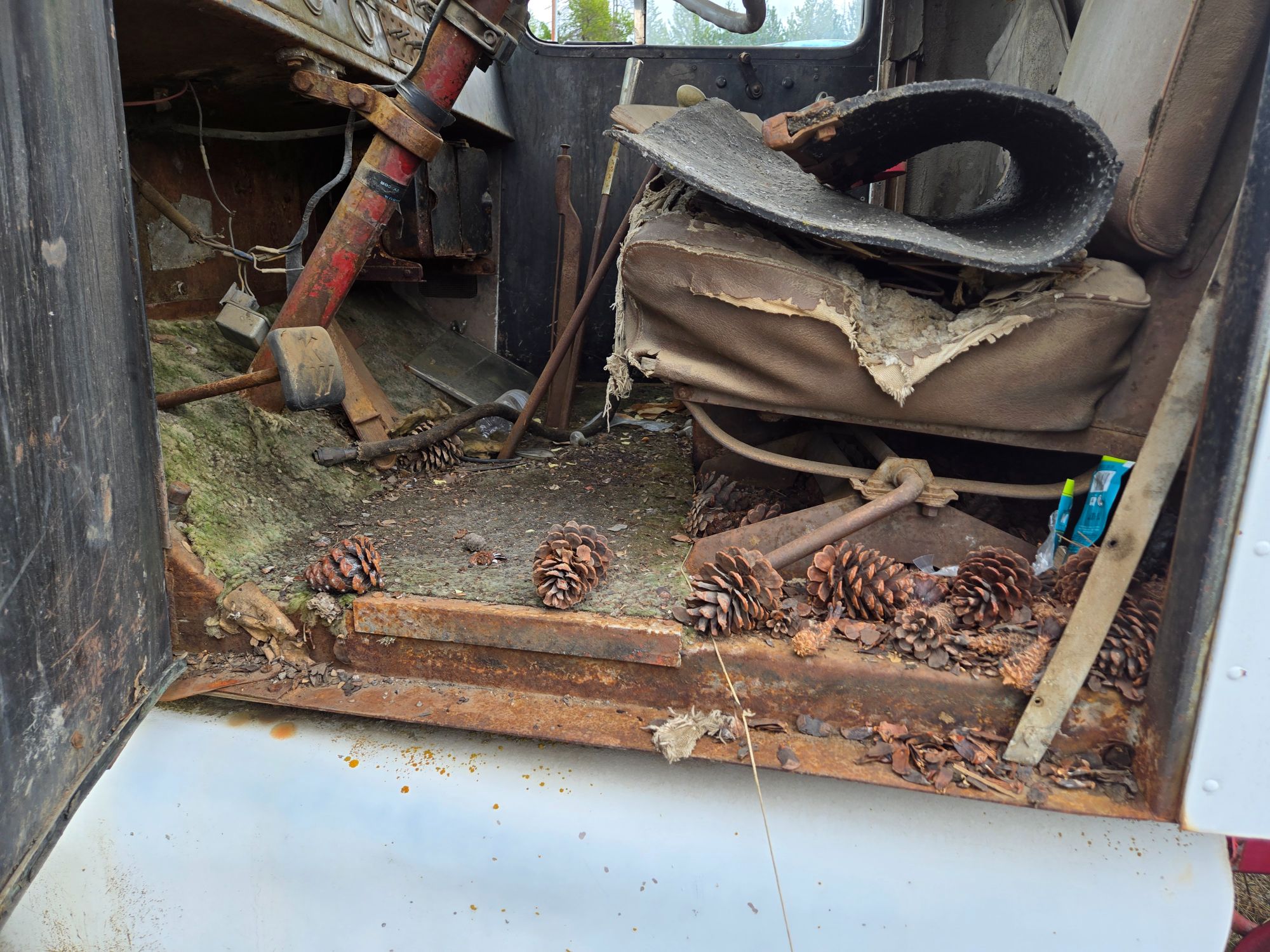 Lot image 10