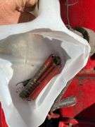 2 HP Famous Vertical Engine