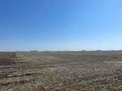 141.91 Acres Locust Twp