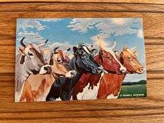 (4) Dairy Postcards