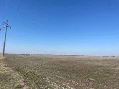 141.91 Acres Locust Twp