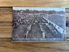(4) Dairy Postcards