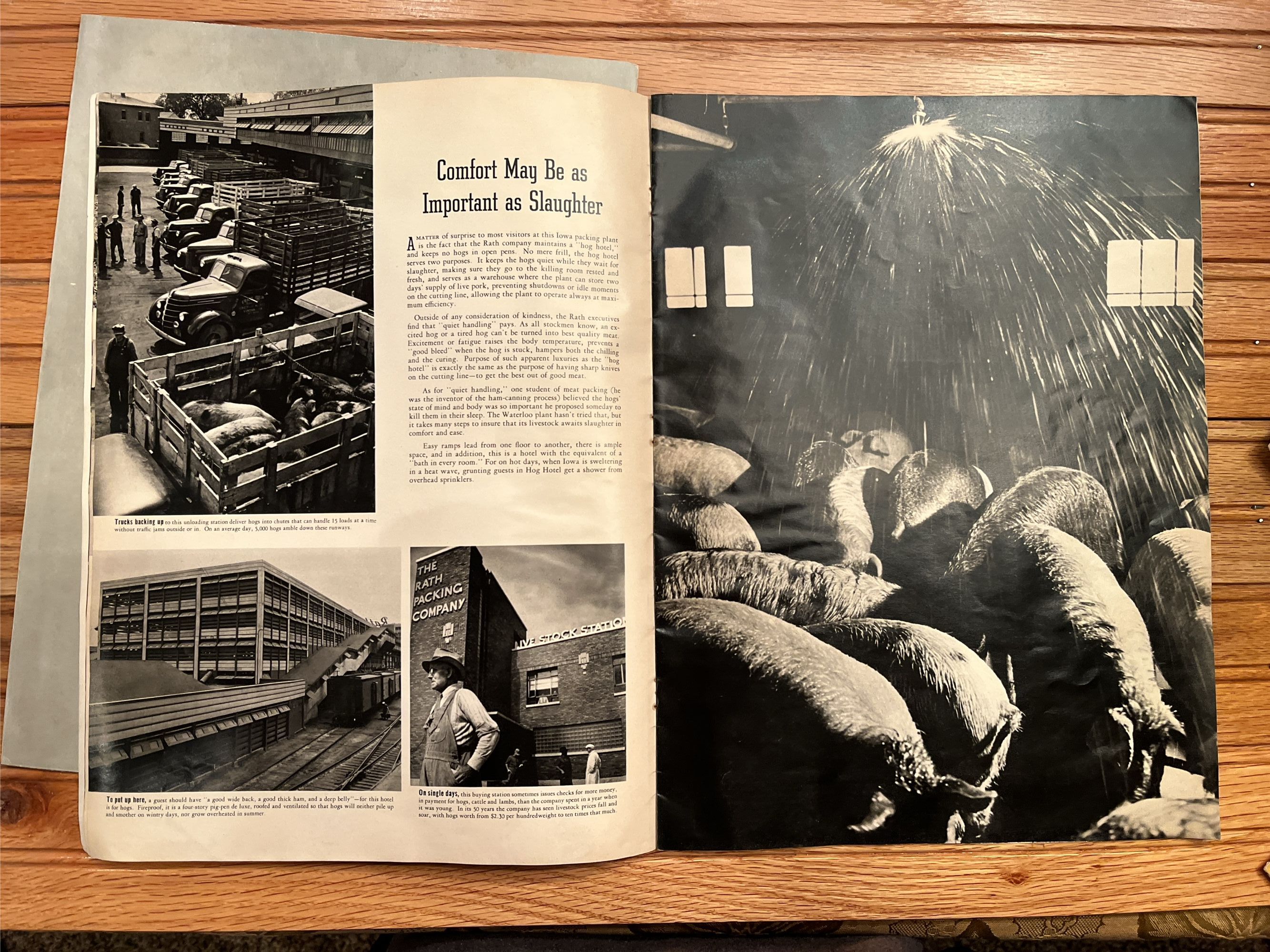 Lot image 4