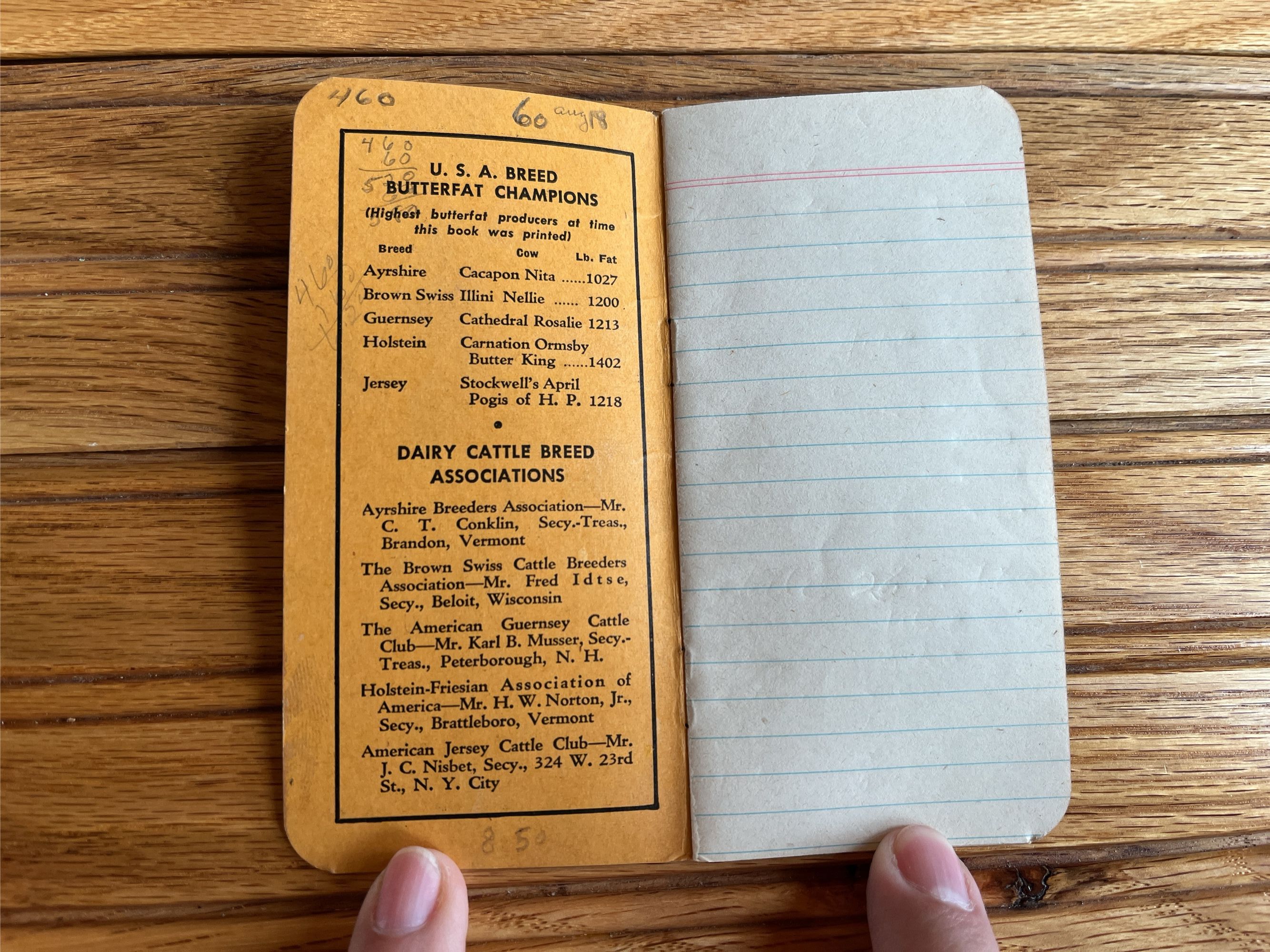 Lot image 8