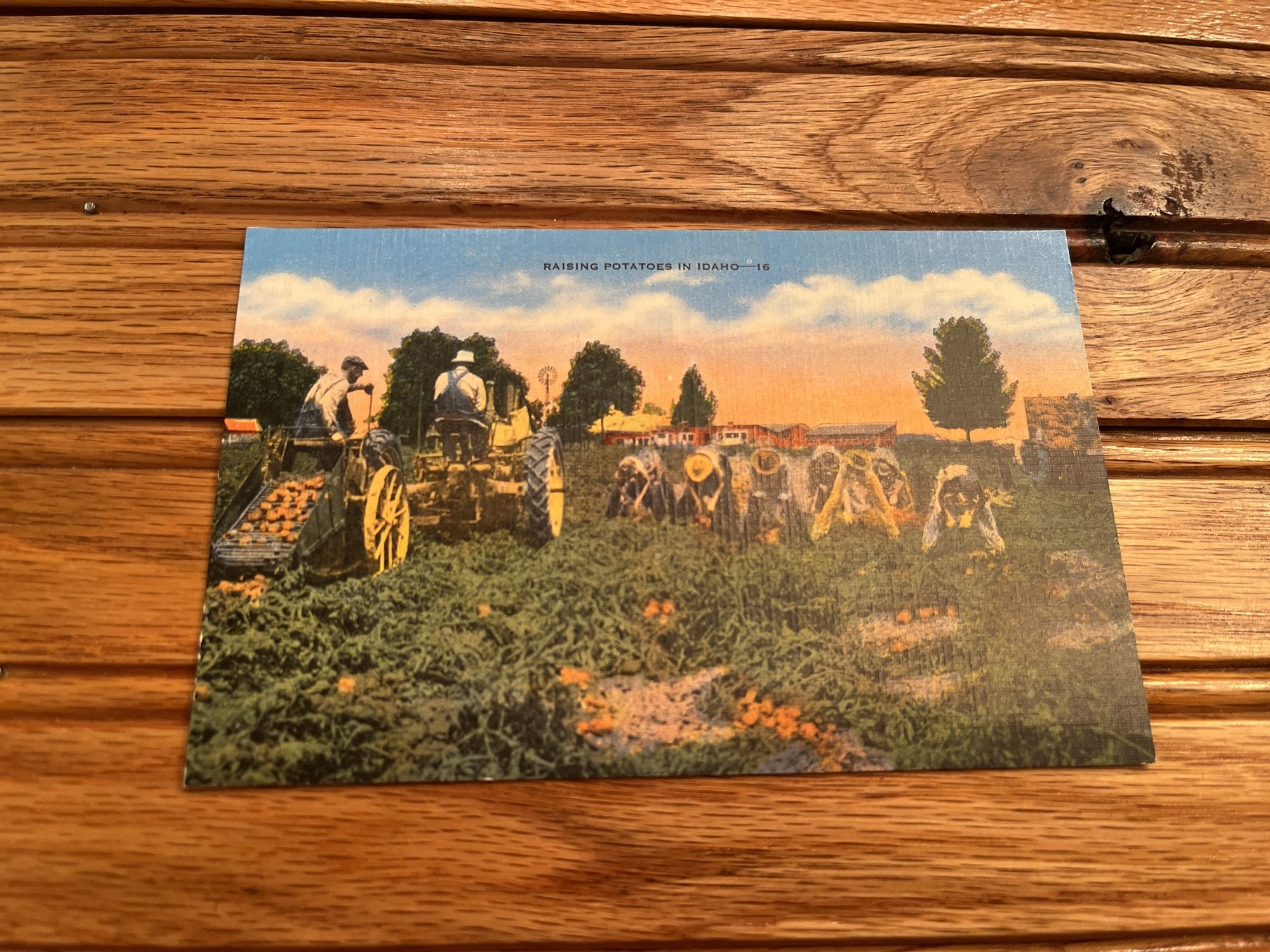 Lot image 4