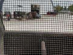 10hp IHC Mogul Screen Cooled Portable - See video!
