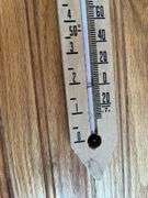 (2) Cargill Seeds + Trojan Seed Thermometers