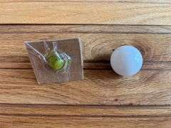 (3) John Deere Marbles + Yo-Yo
