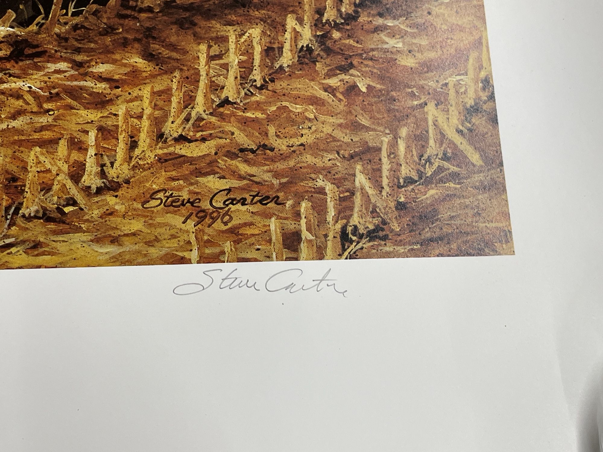 Lot image 10