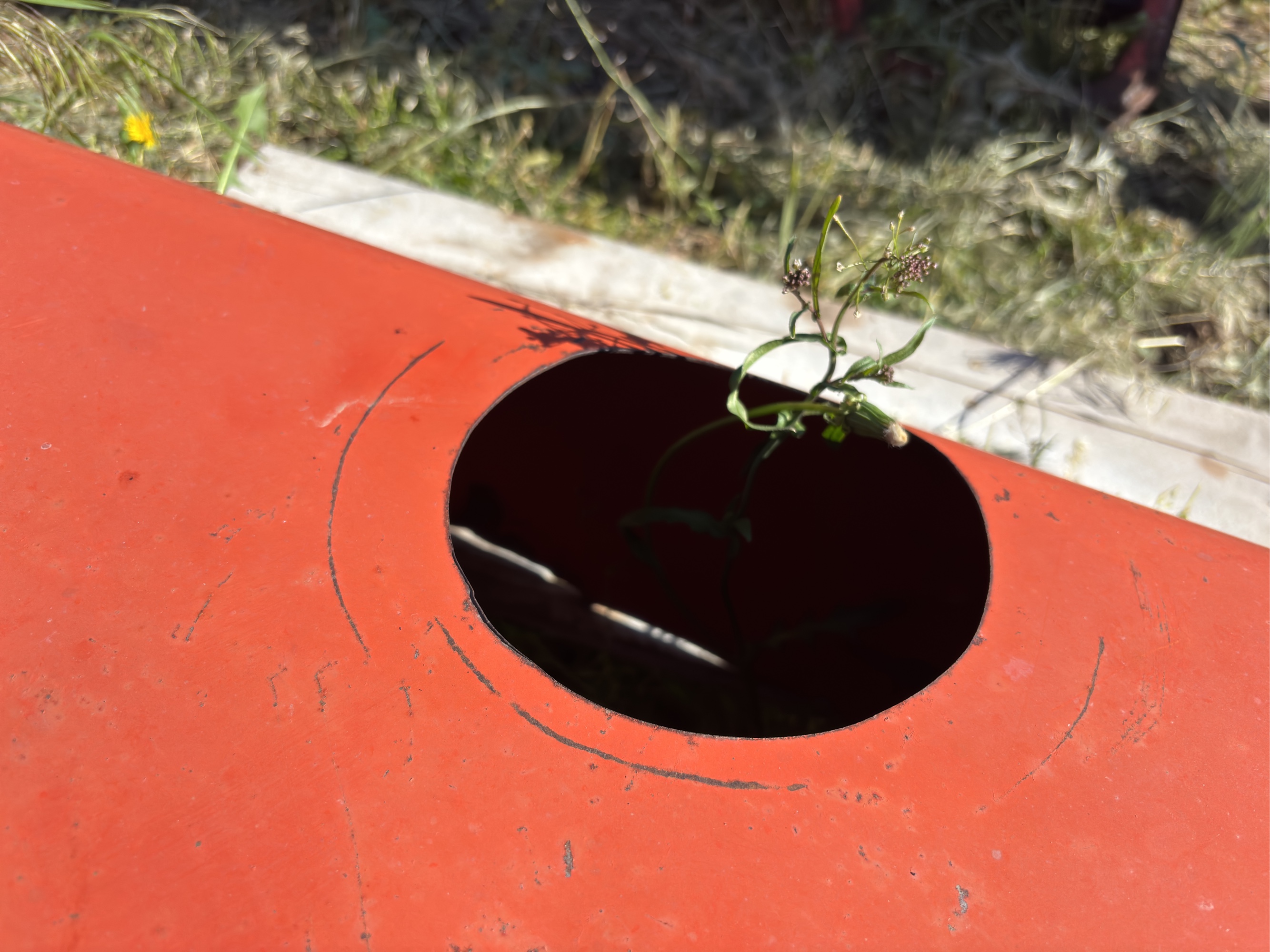 Lot image 7