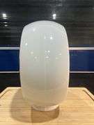 Extron wide body Milk Glass Gas Globe