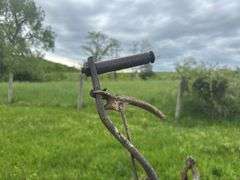 Horse Drawn Cultivator