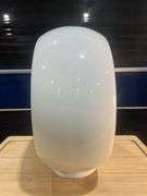 Wide Body Glass Gas Globe