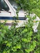 1982 Ford E350 SportCoach