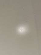 Wide Body Glass Glass Globe