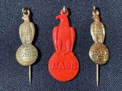 (3) Case Pins
