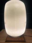 Wide Body Glass Gas Globe