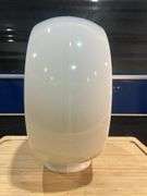 Extron wide body Milk Glass Gas Globe