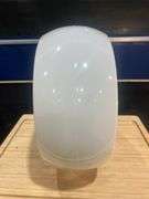 Wide Body Glass Gas Globe