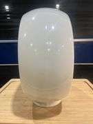 Wide Body Glass Gas Globe