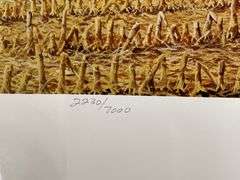 (2) John Deere Prints