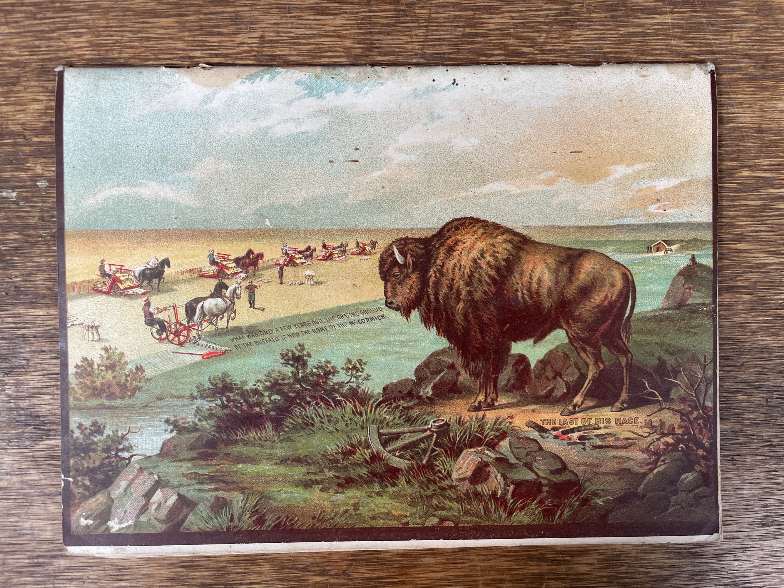 Lot image 7