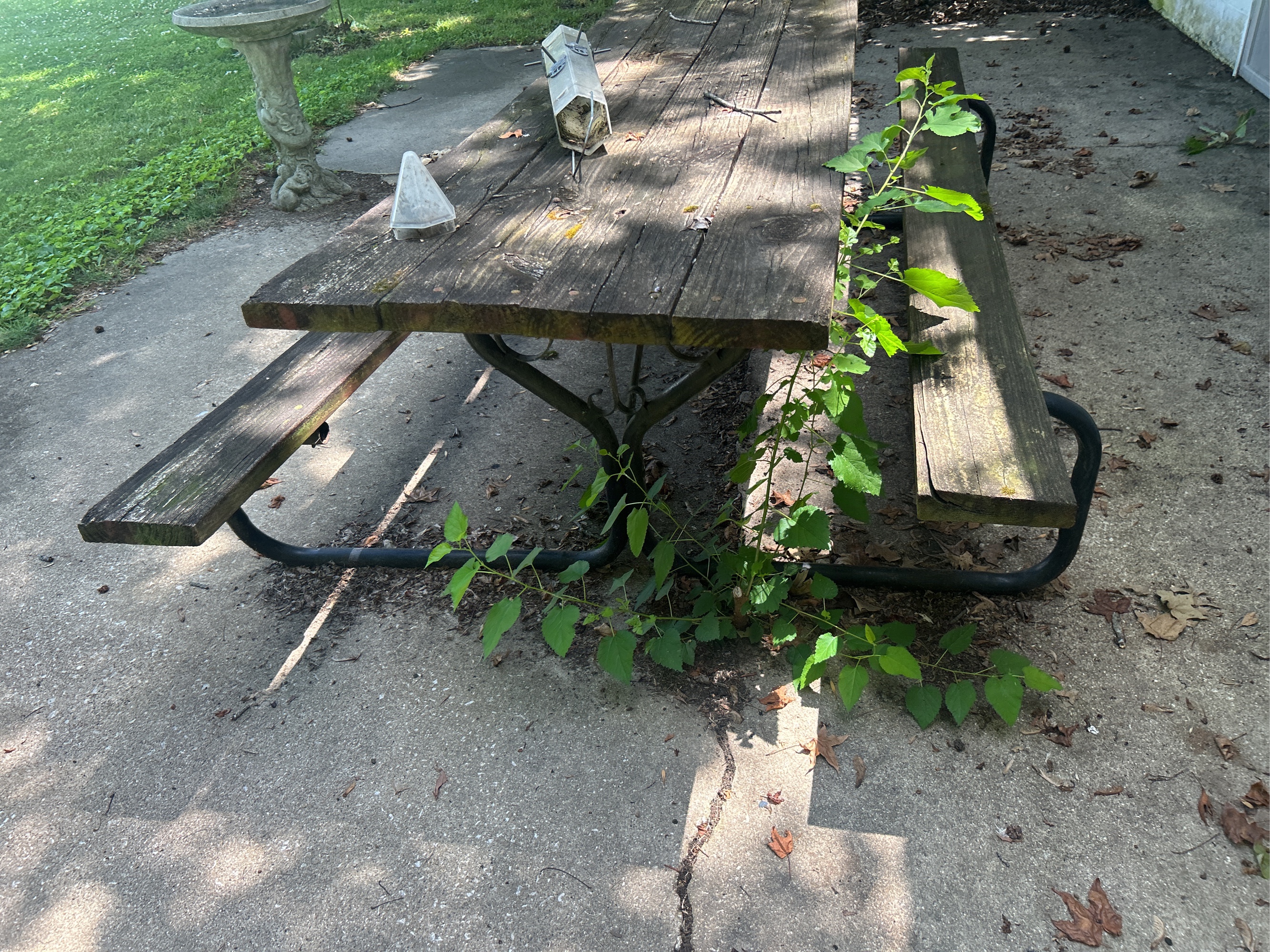 Lot image 9