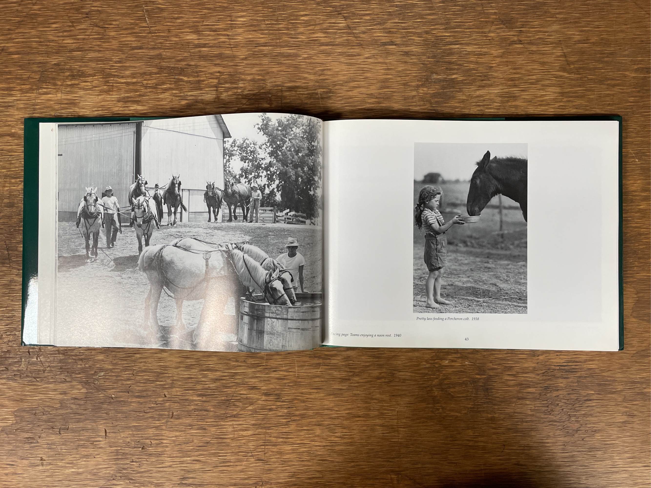 Lot image 5