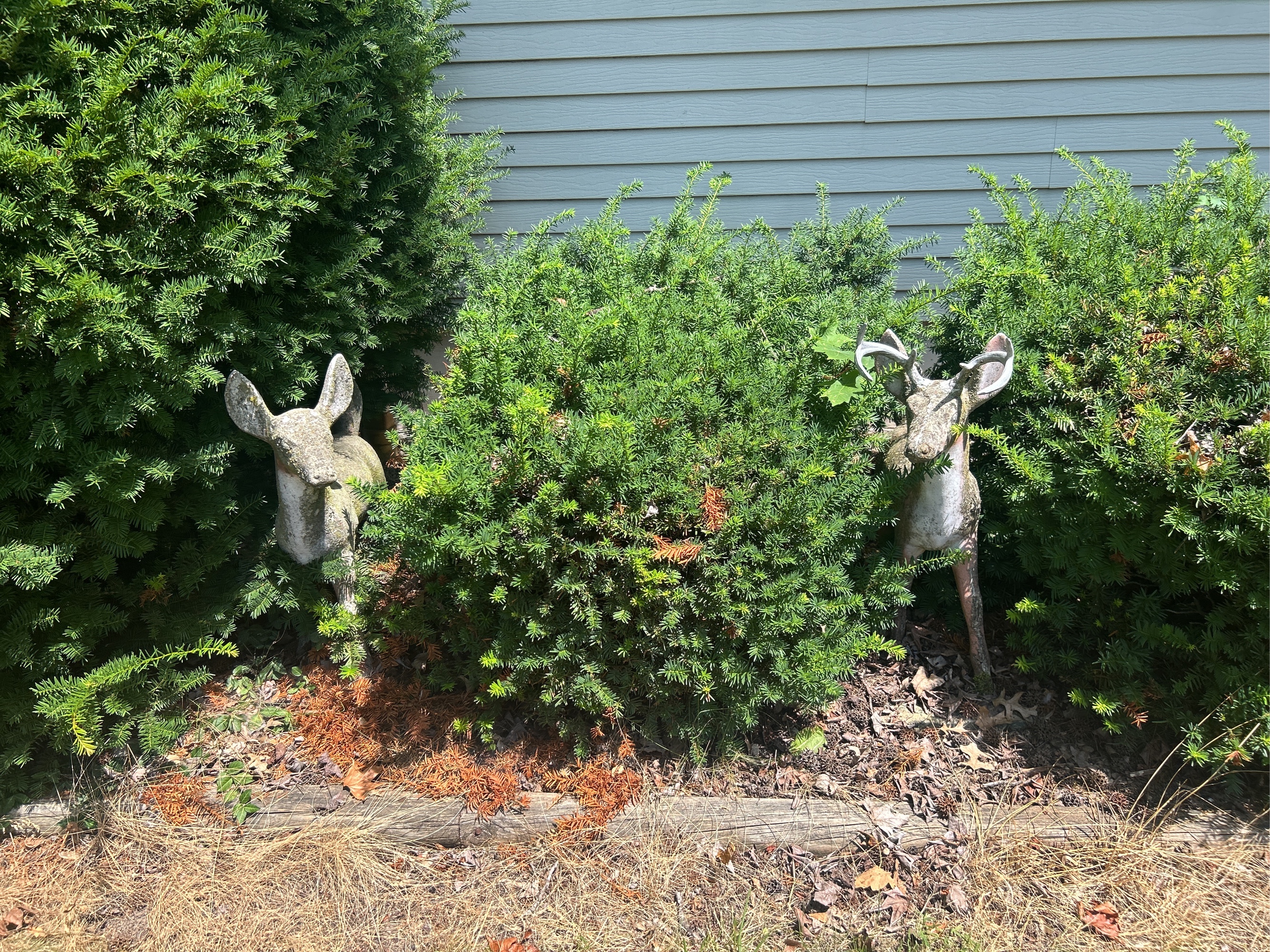 Lot image 1