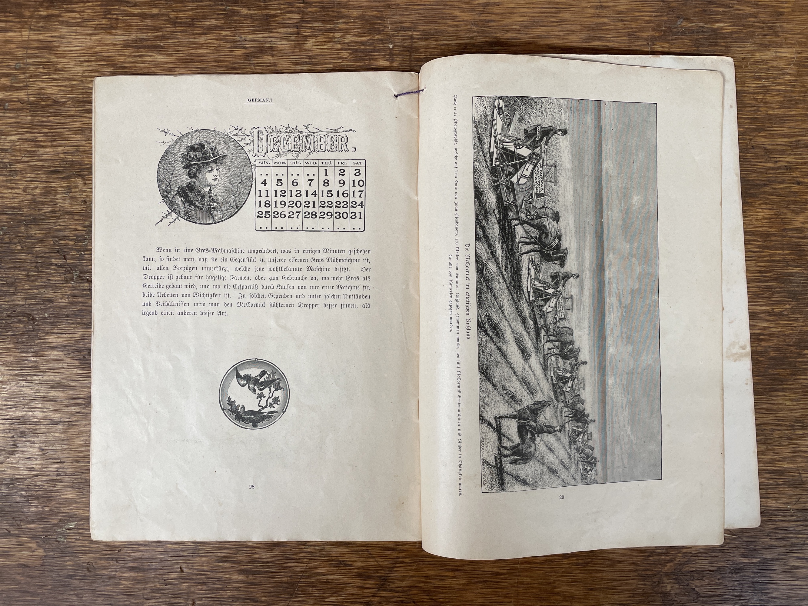 Lot image 6