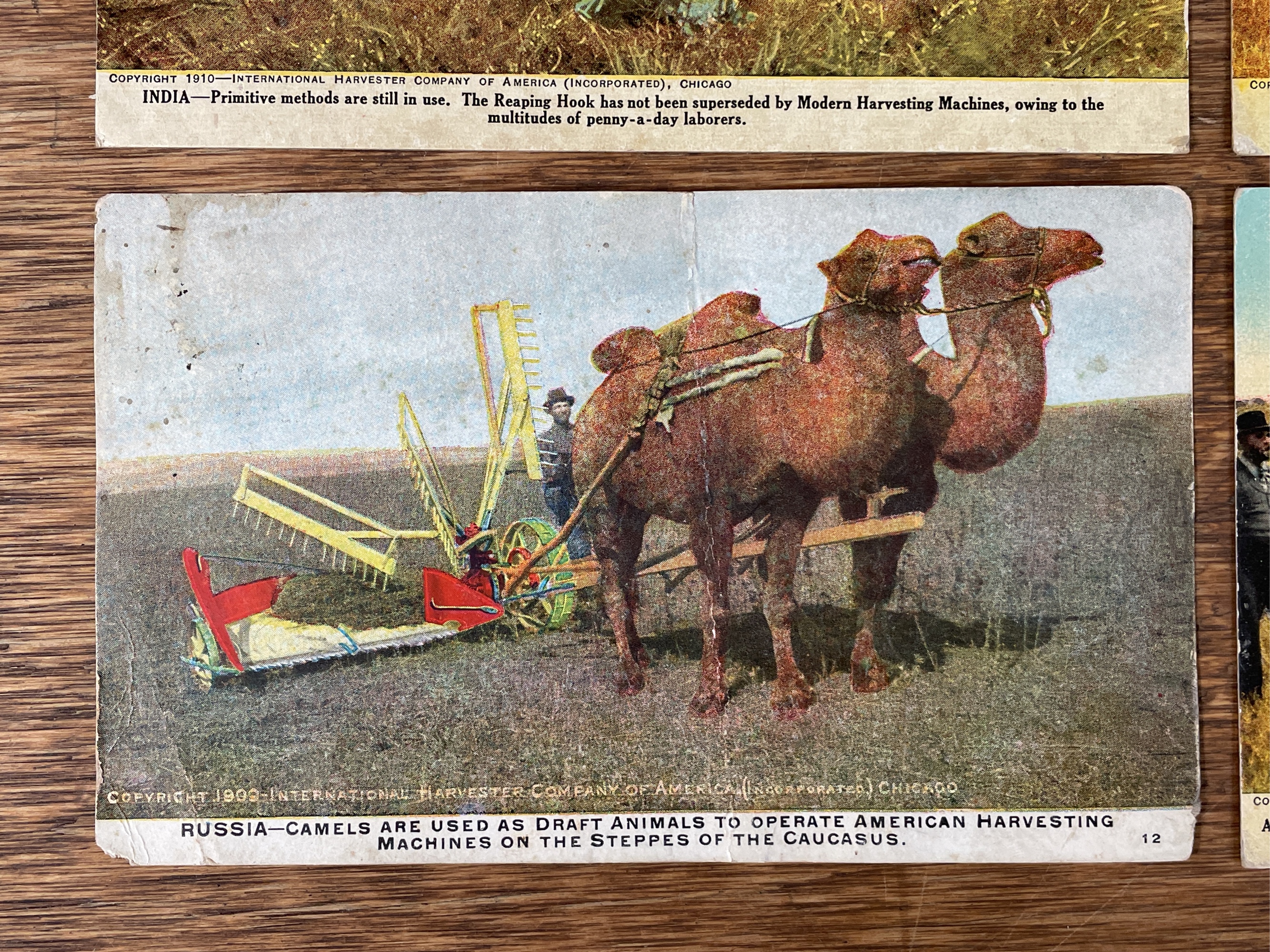 Lot image 4