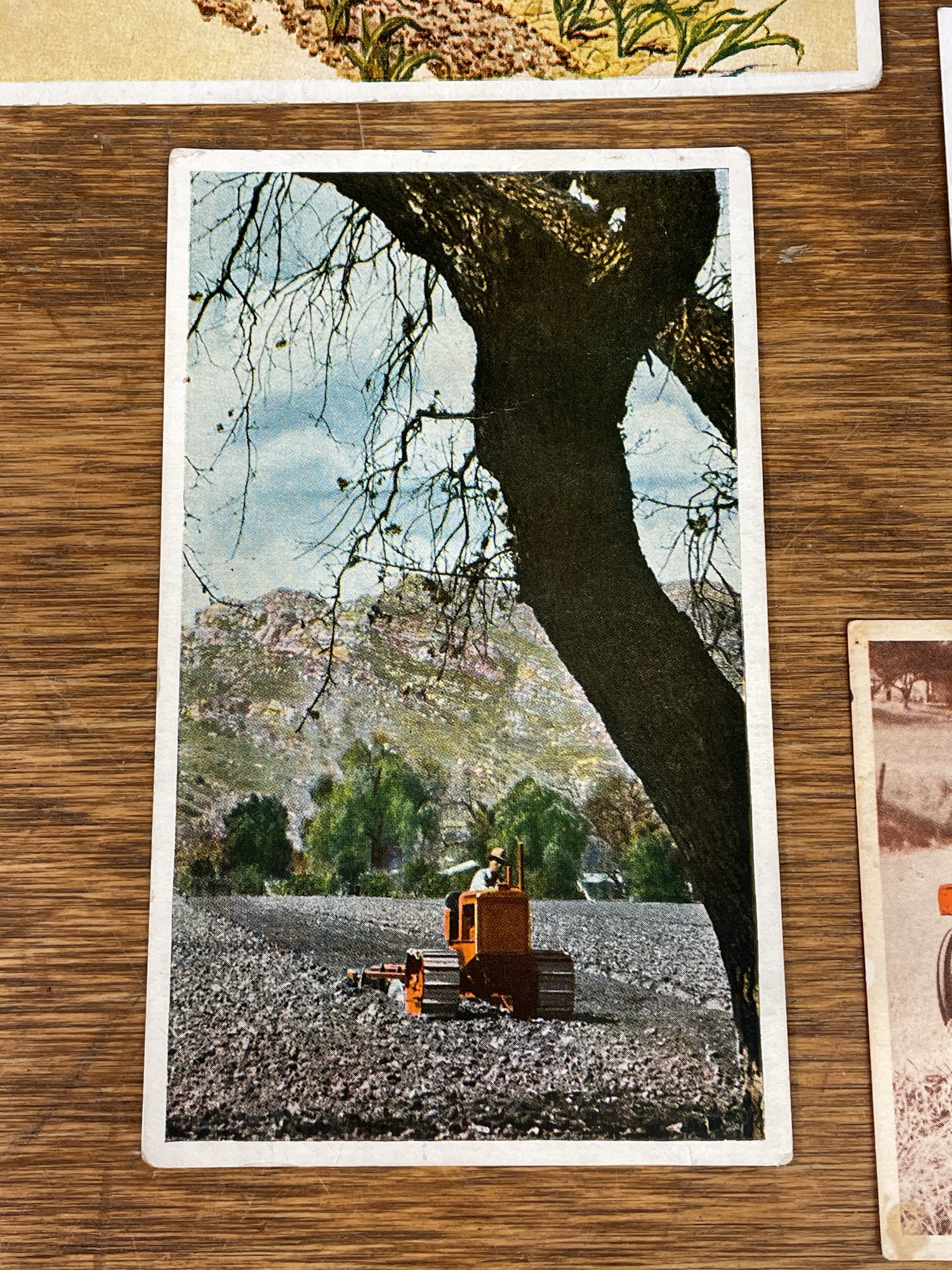 Lot image 6